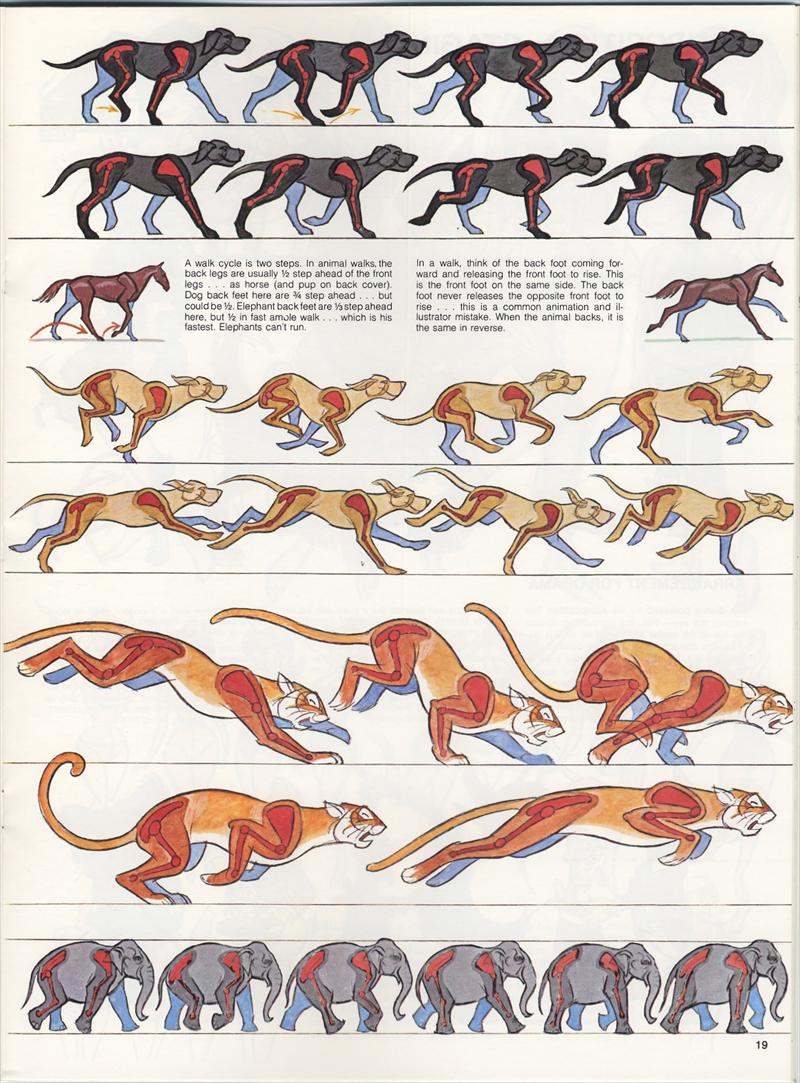 Animating Quadrupeds Study Amp